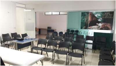 Escola De psicanalise - cetep centro de estudos de terapias de psicanálise foto 4