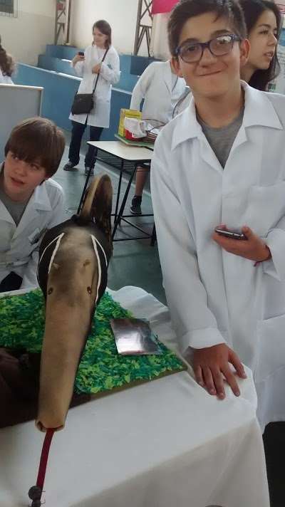 Escola Dinâmica alice nader zarzur foto 1