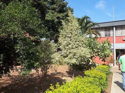 Escola Savino campigli foto 1